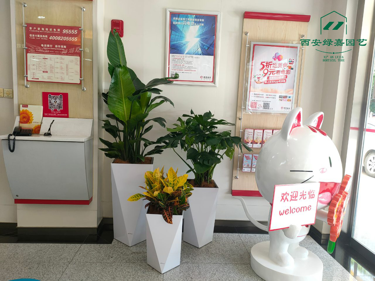 银行花卉绿植租赁
