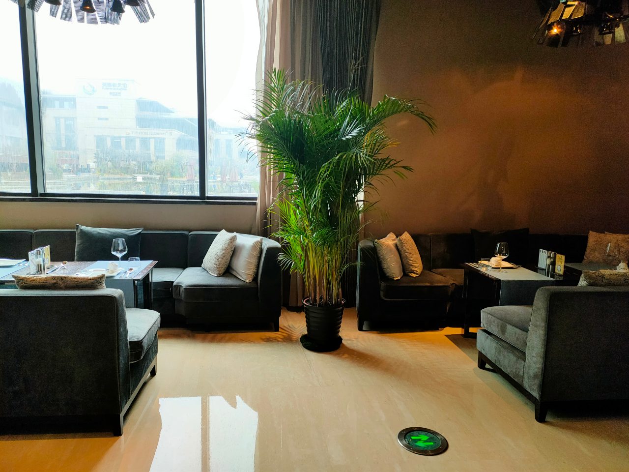 散尾葵租摆租赁