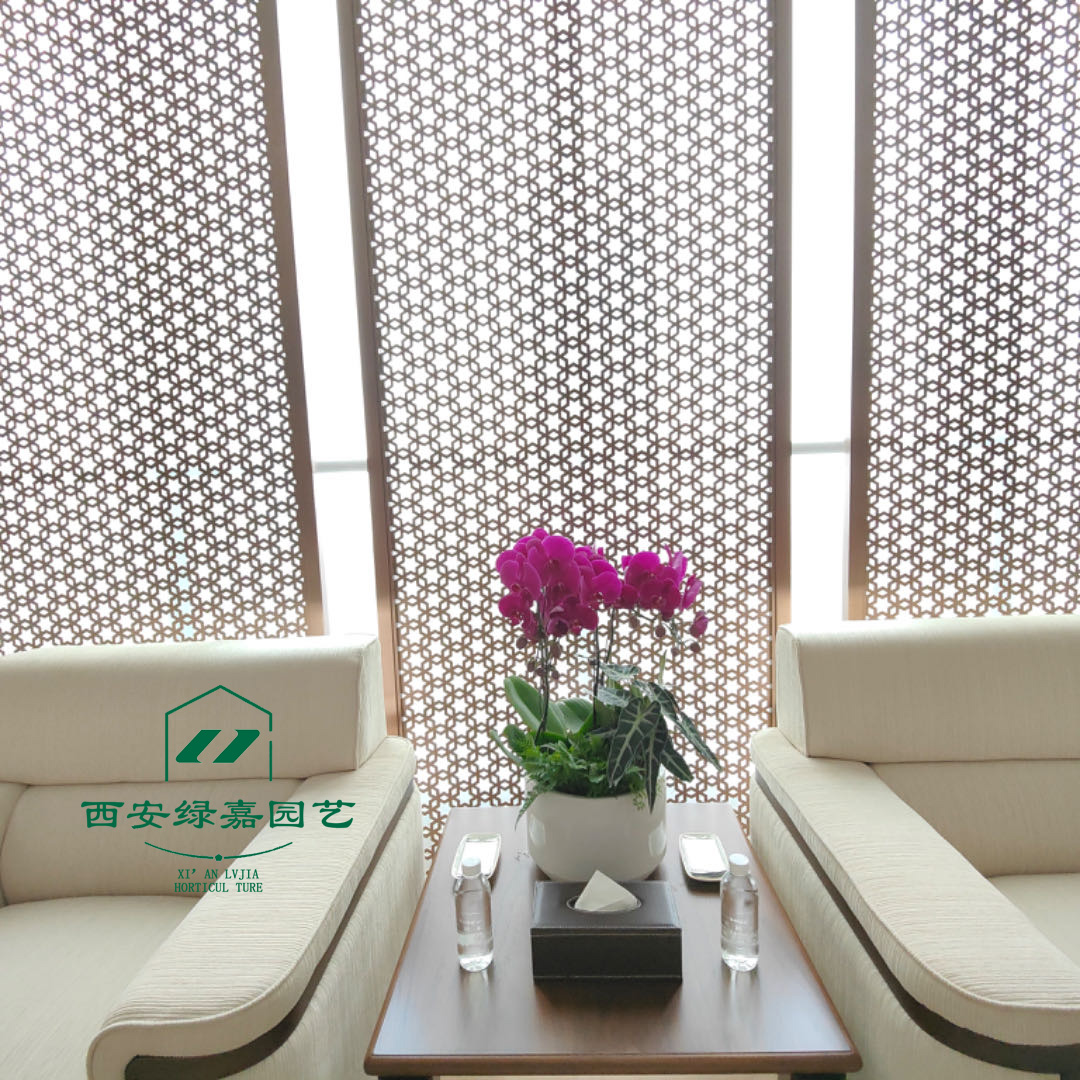 当绿意相伴：花卉绿植租赁为酒店增添生气