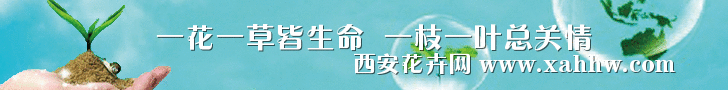 7319657.gif