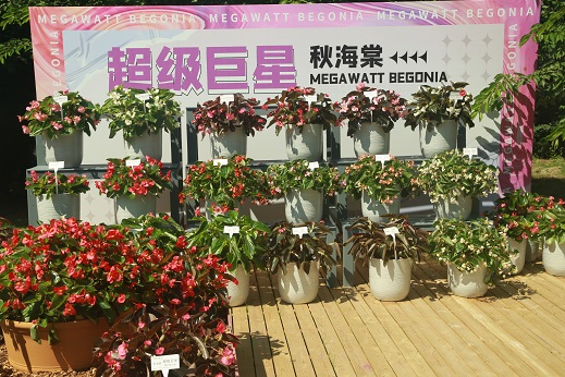 微信图片_20240510135822.jpg