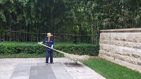 园林绿化养护|西安绿嘉园艺
