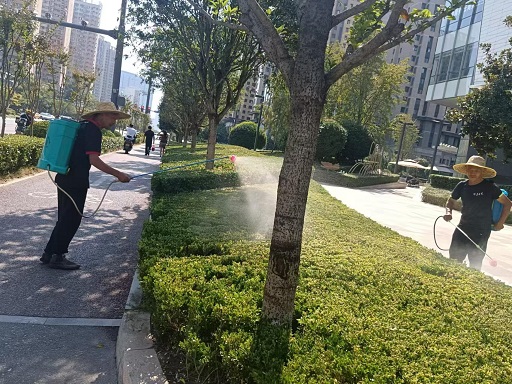 秋季园林绿化养护指南来啦！