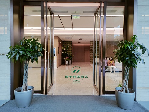 西安酒店绿植租赁案例|西安绿嘉园艺