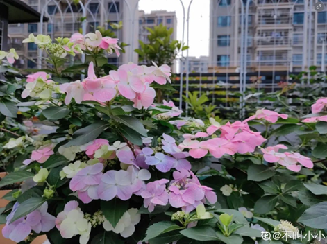 QQ20250403-140658.png