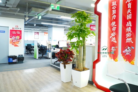 西安办公室绿植租赁|西安绿嘉园艺 西安办公室绿植租赁|西安绿嘉园艺
