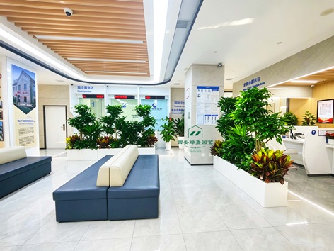 银行办公空间的自然焕新：西安绿嘉园艺绿植租赁实景解析