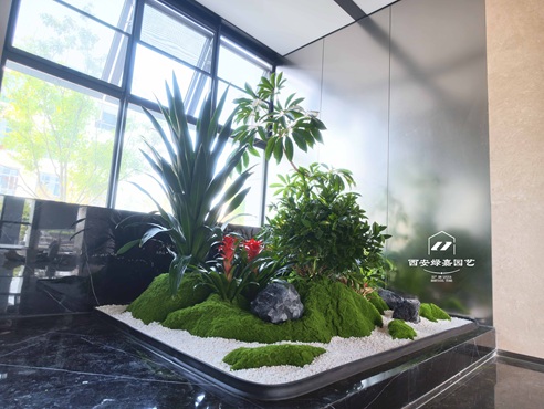 西安企业绿植租赁 | 绿嘉园艺助力阎良写字楼打造高品质“绿色办公空间”